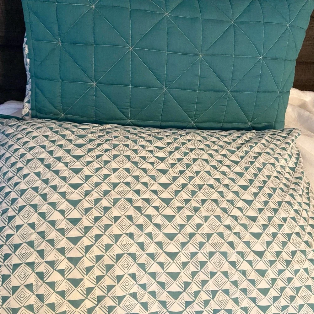 West Elm Organic Cotton Pillow Shams